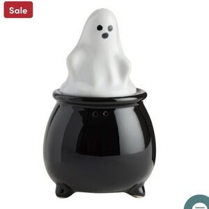Cost Plus World Market Ghost and Cauldron Salt Shaker - Black and White